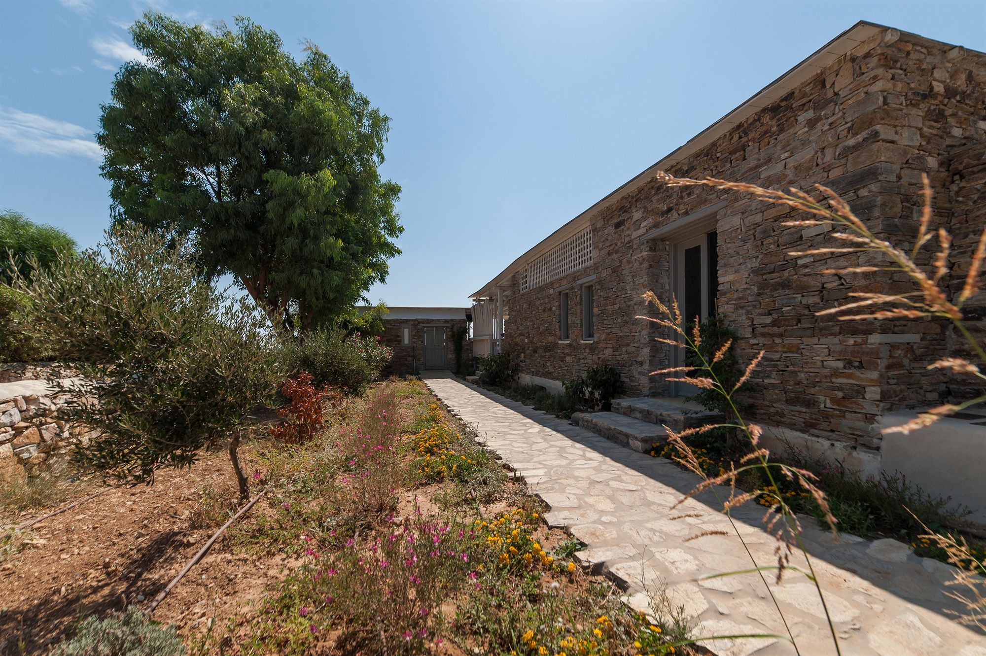 Soros Beach Antiparos Ájosz Jeórjosz Kültér fotó